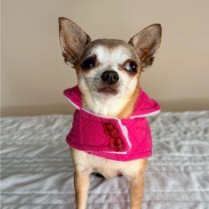 💖 Hot Pink Quilted Corduroy Dog Jacket